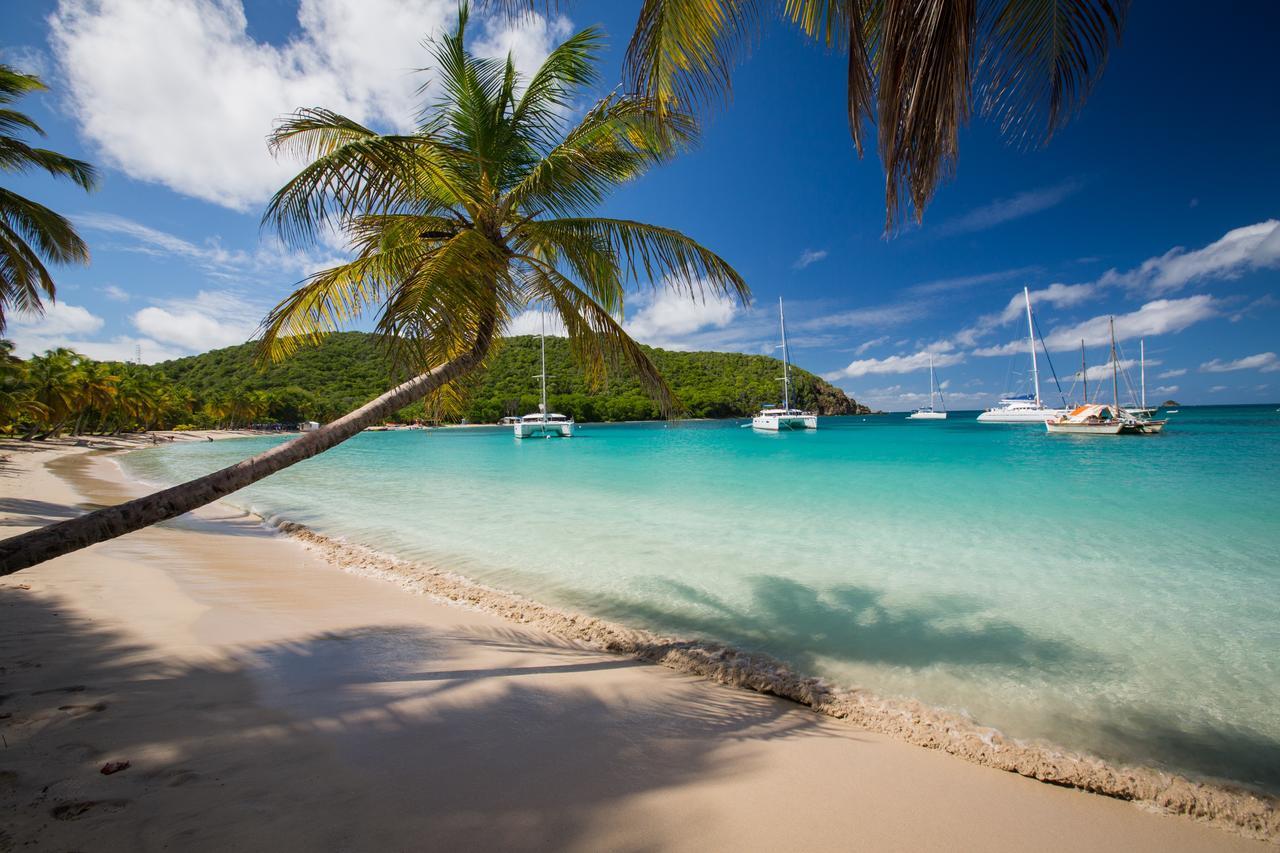 Hôtel Salt Whistle Bay Retreat à Mayreau Island Extérieur photo